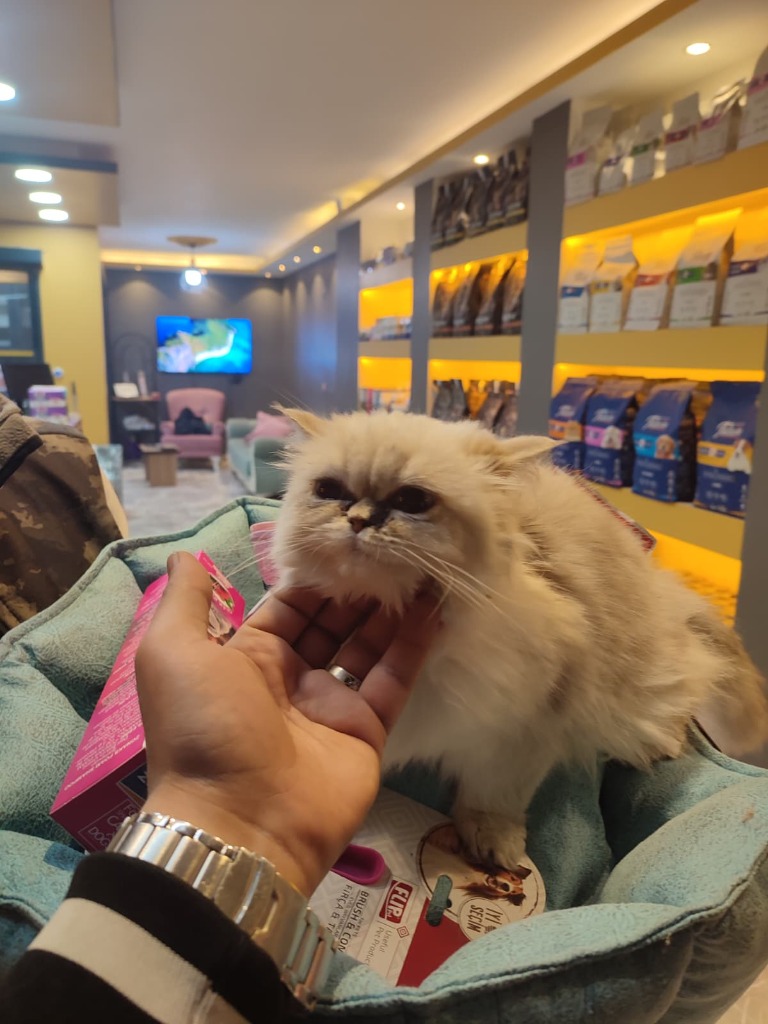 VillaPark Veteriner Kliniği Kahta Hasta Bakımı ve Veteriner Hekim İlgisi
