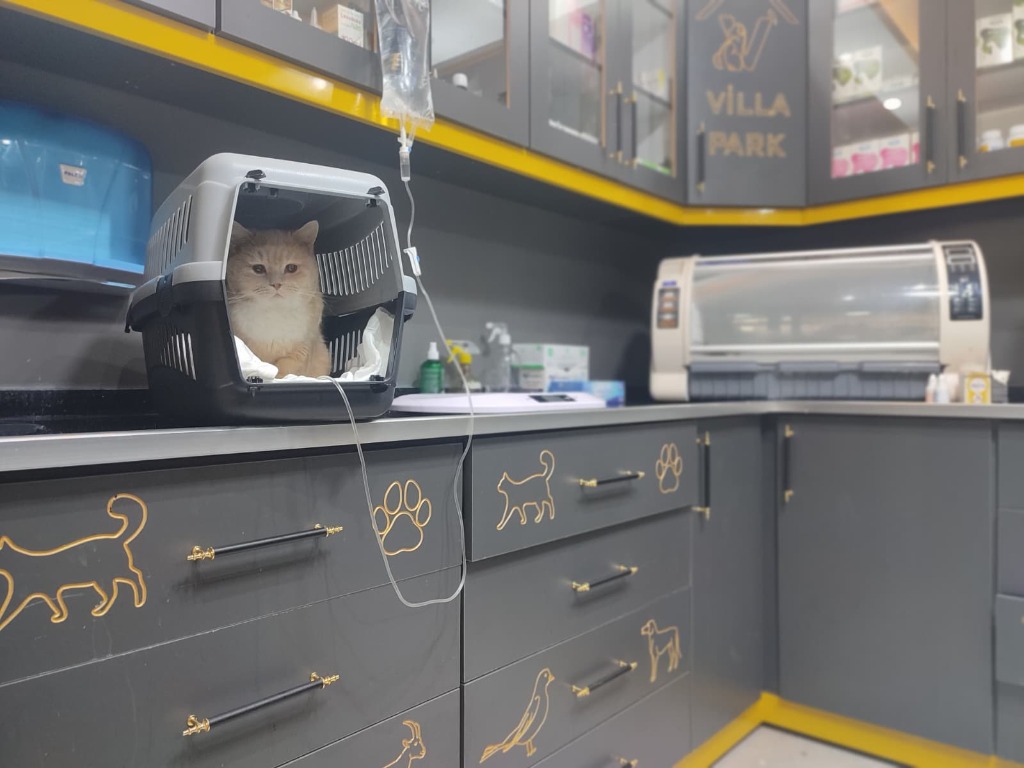 VillaPark Veteriner Kliniği Muayene Odası ve Tıbbi İlaç Dolapları