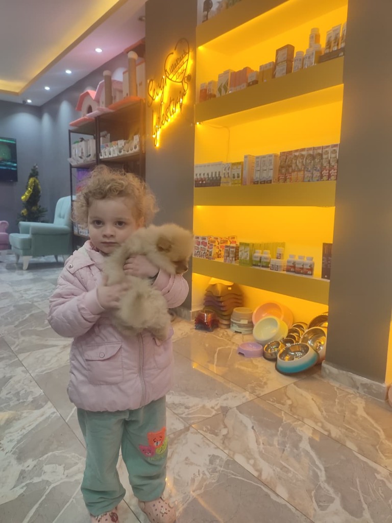VillaPark Veteriner Kliniği Muayene Odası ve Asil Cocker Spaniel Misafirimiz