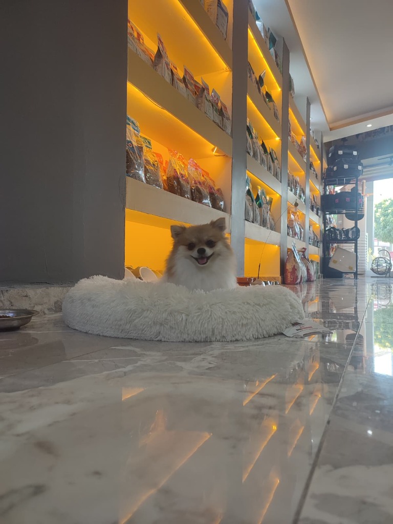 VillaPark Veteriner Kliniği Premium Mama ve Pet Bakım Reyonları